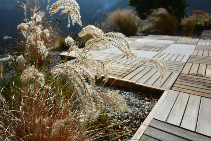 terrazzo graminacee